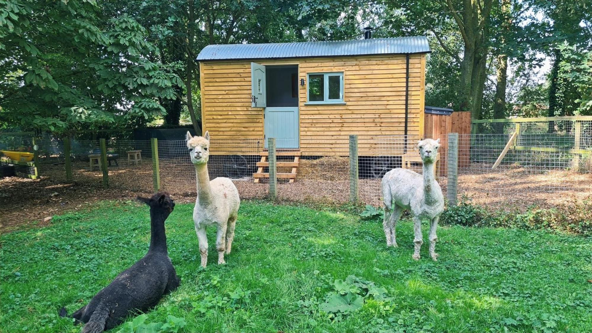 Hotel Horsley Hale Farm Glamping Ely Exterior foto